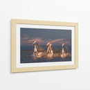 Caballos blancos corriendo - Rostovskiy Anton | Cuadro decorativo de Canvas Lab