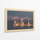 Caballos blancos corriendo - Rostovskiy Anton | Cuadro decorativo de Canvas Lab