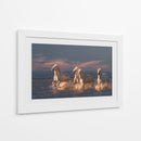 Caballos blancos corriendo - Rostovskiy Anton | Cuadro decorativo de Canvas Lab