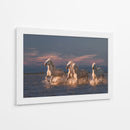 Caballos blancos corriendo - Rostovskiy Anton | Cuadro decorativo de Canvas Lab