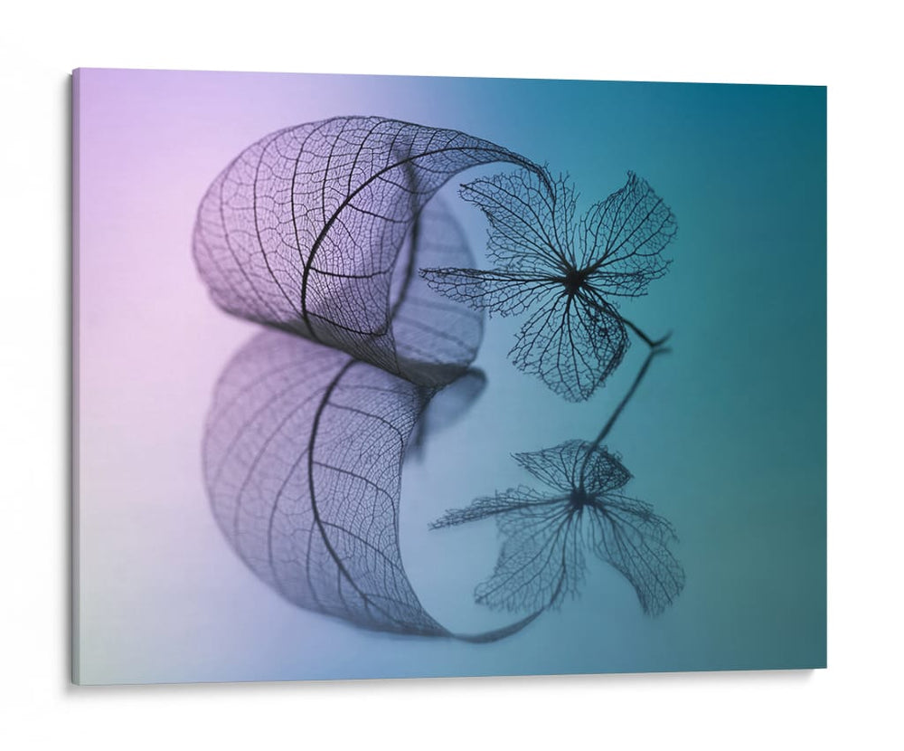 Botánicos de esqueleto delicado - Shihya Kowatari | Cuadro decorativo de Canvas Lab