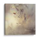 Bokeh de mariquita de ensueño - Heidi Westum | Cuadro decorativo de Canvas Lab