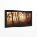 Bosque brumoso de otoño - Leif Londal | Cuadro decorativo de Canvas Lab