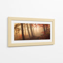 Bosque brumoso de otoño - Leif Londal | Cuadro decorativo de Canvas Lab