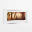 Bosque brumoso de otoño - Leif Londal | Cuadro decorativo de Canvas Lab