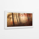 Bosque brumoso de otoño - Leif Londal | Cuadro decorativo de Canvas Lab