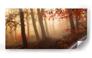 Bosque brumoso de otoño - Leif Londal | Cuadro decorativo de Canvas Lab