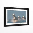 Caballos blancos corriendo salvajes - Rostovskiy Anton | Cuadro decorativo de Canvas Lab