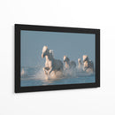 Caballos blancos corriendo salvajes - Rostovskiy Anton | Cuadro decorativo de Canvas Lab