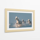 Caballos blancos corriendo salvajes - Rostovskiy Anton | Cuadro decorativo de Canvas Lab