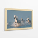 Caballos blancos corriendo salvajes - Rostovskiy Anton | Cuadro decorativo de Canvas Lab