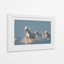 Caballos blancos corriendo salvajes - Rostovskiy Anton | Cuadro decorativo de Canvas Lab