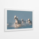 Caballos blancos corriendo salvajes - Rostovskiy Anton | Cuadro decorativo de Canvas Lab