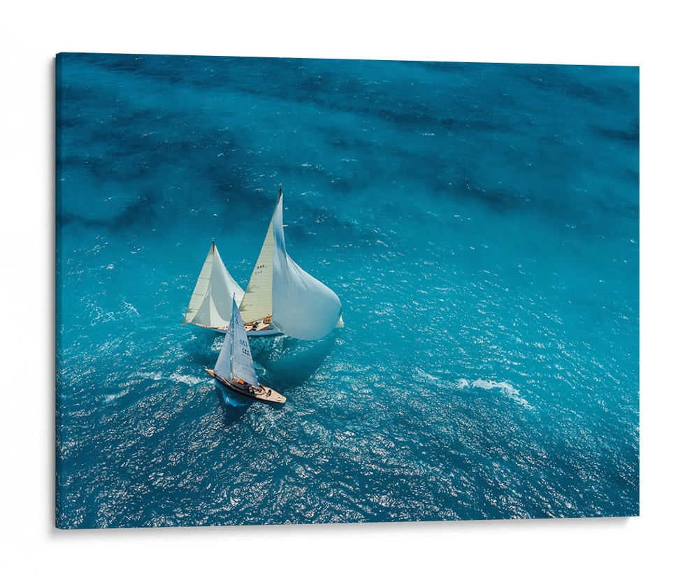 Carrera de veleros tropicales - Marc Pelissier | Cuadro decorativo de Canvas Lab