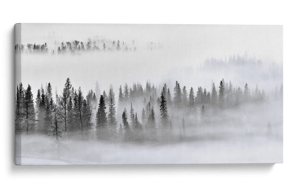 Bosque invernal brumoso - Mei Xu | Cuadro decorativo de Canvas Lab