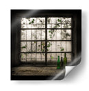 Botellas olvidadas en la ventana - Vito Guarino | Cuadro decorativo de Canvas Lab