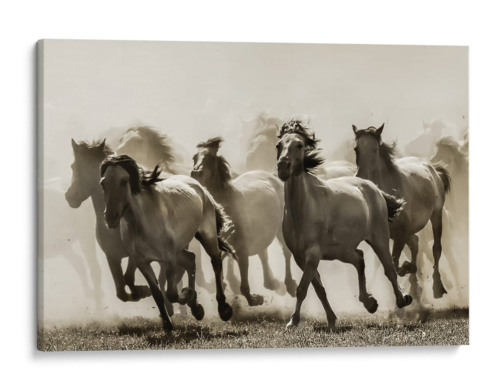 Caballos salvajes al galope - Heidi Bartsch | Cuadro decorativo de Canvas Lab