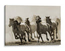 Caballos salvajes al galope - Heidi Bartsch | Cuadro decorativo de Canvas Lab