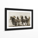 Caballos salvajes al galope - Heidi Bartsch | Cuadro decorativo de Canvas Lab