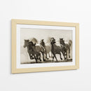 Caballos salvajes al galope - Heidi Bartsch | Cuadro decorativo de Canvas Lab