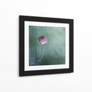 Capullo de amapola rosa suave - Priska Wettstein | Cuadro decorativo de Canvas Lab