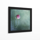 Capullo de amapola rosa suave - Priska Wettstein | Cuadro decorativo de Canvas Lab