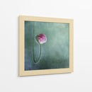 Capullo de amapola rosa suave - Priska Wettstein | Cuadro decorativo de Canvas Lab
