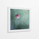 Capullo de amapola rosa suave - Priska Wettstein | Cuadro decorativo de Canvas Lab