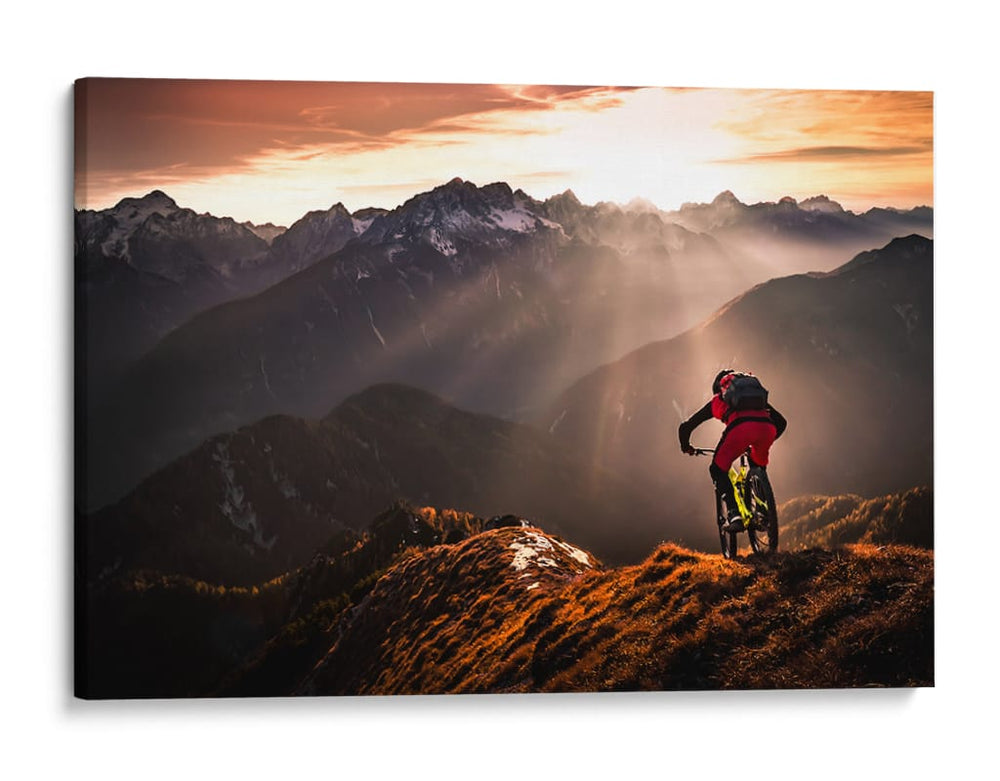 Ciclista de montaña al atardecer dorado - Sandi Bertoncelj | Cuadro decorativo de Canvas Lab