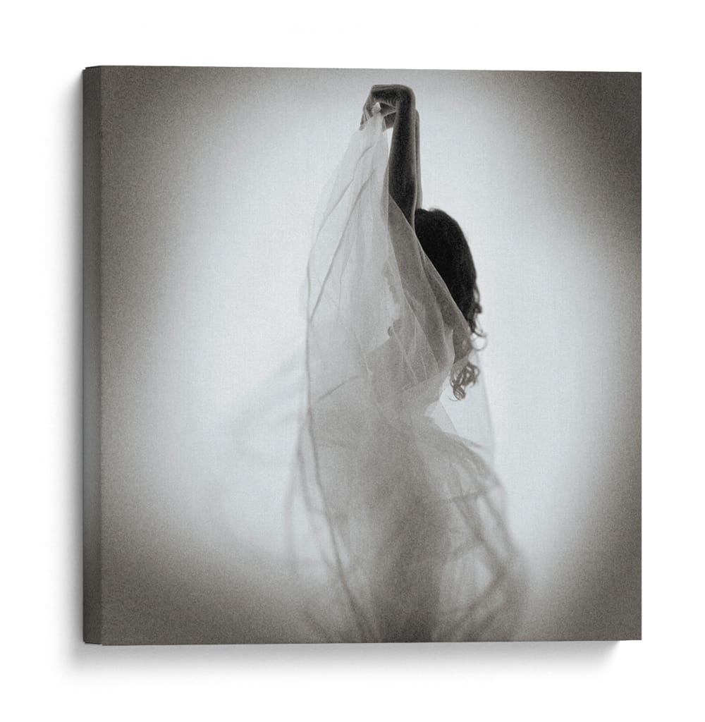 Danza elegante de telas - Mel Brackstone | Cuadro decorativo de Canvas Lab