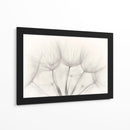 Delicadas semillas de diente de león - Jakob Arnholtz | Cuadro decorativo de Canvas Lab
