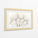 Delicadas semillas de diente de león - Jakob Arnholtz | Cuadro decorativo de Canvas Lab