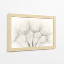 Delicadas semillas de diente de león - Jakob Arnholtz | Cuadro decorativo de Canvas Lab
