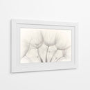 Delicadas semillas de diente de león - Jakob Arnholtz | Cuadro decorativo de Canvas Lab