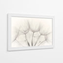Delicadas semillas de diente de león - Jakob Arnholtz | Cuadro decorativo de Canvas Lab
