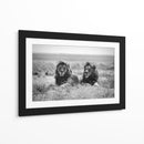 Dos majestuosos leones - Nicolas Merino | Cuadro decorativo de Canvas Lab
