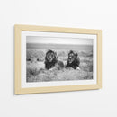 Dos majestuosos leones - Nicolas Merino | Cuadro decorativo de Canvas Lab