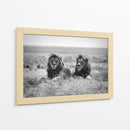 Dos majestuosos leones - Nicolas Merino | Cuadro decorativo de Canvas Lab