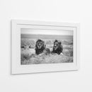Dos majestuosos leones - Nicolas Merino | Cuadro decorativo de Canvas Lab