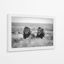 Dos majestuosos leones - Nicolas Merino | Cuadro decorativo de Canvas Lab