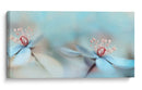 Delicadas flores azules - Heidi Westum | Cuadro decorativo de Canvas Lab