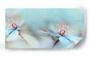 Delicadas flores azules - Heidi Westum | Cuadro decorativo de Canvas Lab