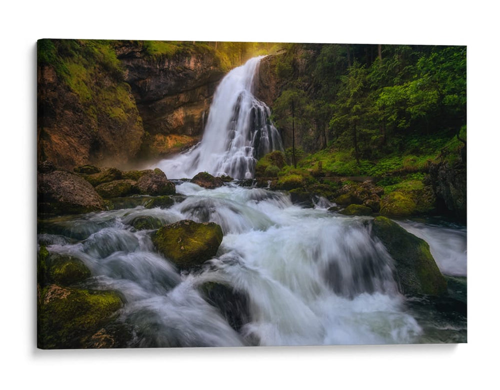 Cascada del bosque radiante - Daniel Gastager | Cuadro decorativo de Canvas Lab