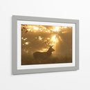 Ciervo a la luz dorada - Greg Morgan | Cuadro decorativo de Canvas Lab