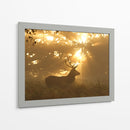 Ciervo a la luz dorada - Greg Morgan | Cuadro decorativo de Canvas Lab