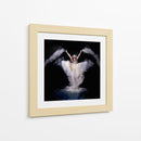Danza de polvo etéreo en el aire - Pauline Pentony MA | Cuadro decorativo de Canvas Lab