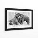 Crías de elefante juguetonas - Antje Wenner-Braun | Cuadro decorativo de Canvas Lab