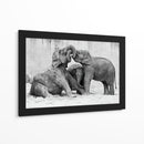 Crías de elefante juguetonas - Antje Wenner-Braun | Cuadro decorativo de Canvas Lab