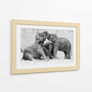 Crías de elefante juguetonas - Antje Wenner-Braun | Cuadro decorativo de Canvas Lab