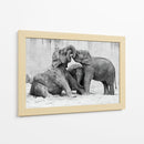 Crías de elefante juguetonas - Antje Wenner-Braun | Cuadro decorativo de Canvas Lab